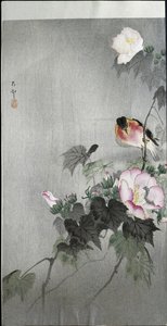 Stonechat og blomstrende blomst, 1907